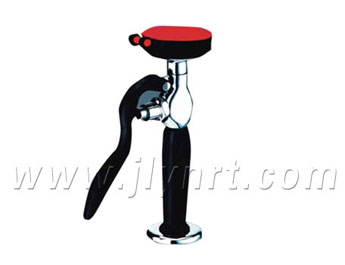 应急洗眼器WJH0355