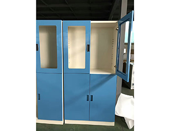 药品柜 试剂柜10